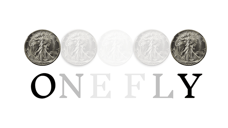 OneFly by Pieter Hofstra - Video Download